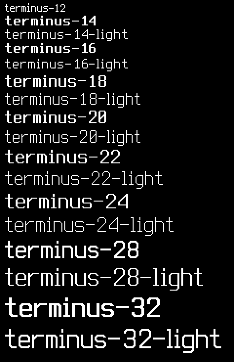 Terminus Variable